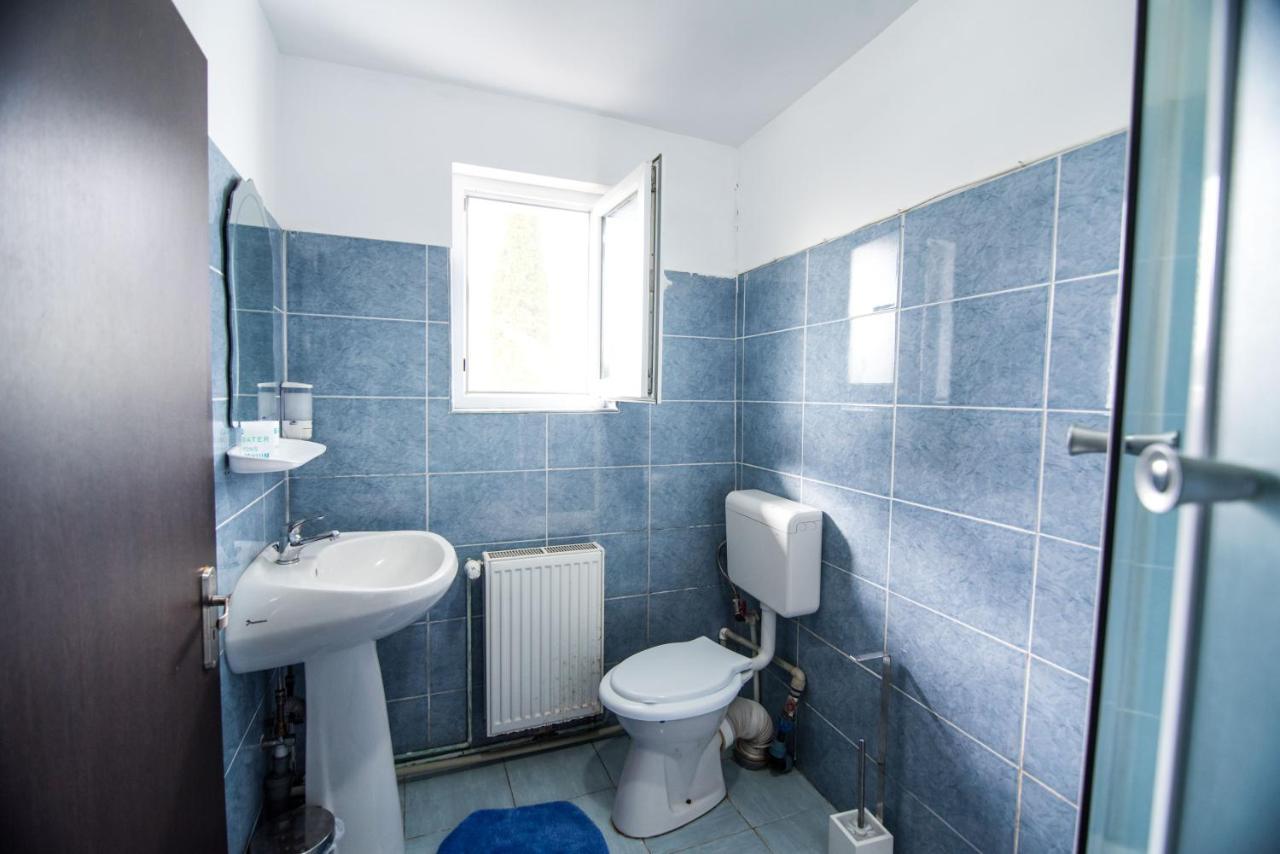 Casa Domneasca Βίλα Baia de Fier Εξωτερικό φωτογραφία