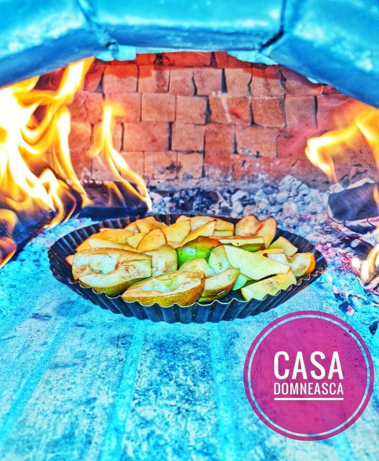 Casa Domneasca Βίλα Baia de Fier Εξωτερικό φωτογραφία