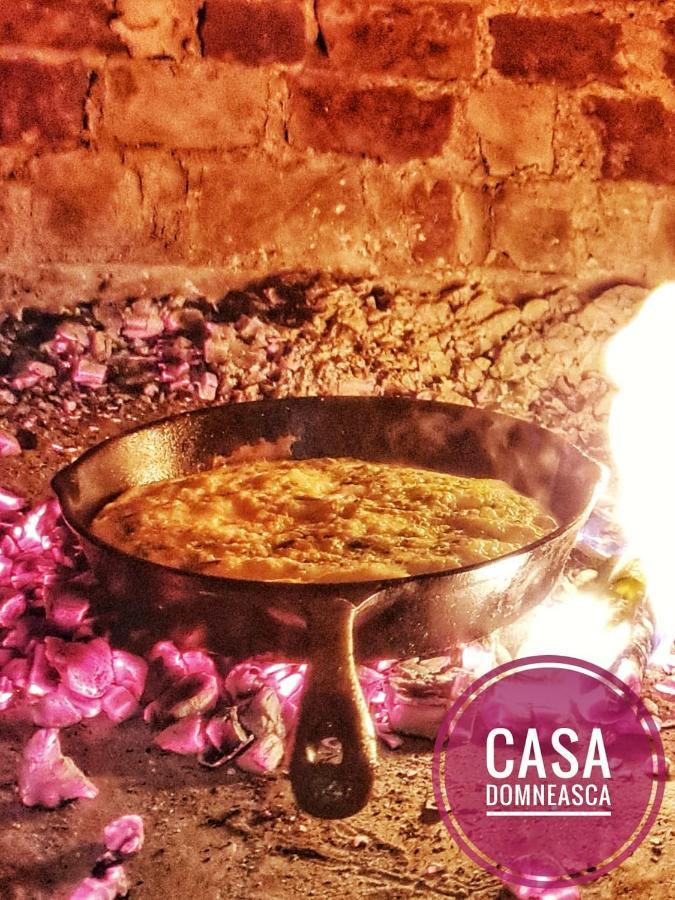 Casa Domneasca Βίλα Baia de Fier Εξωτερικό φωτογραφία