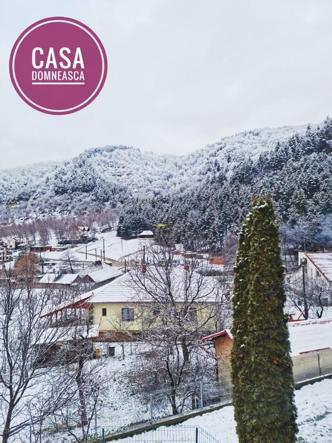 Casa Domneasca Βίλα Baia de Fier Εξωτερικό φωτογραφία