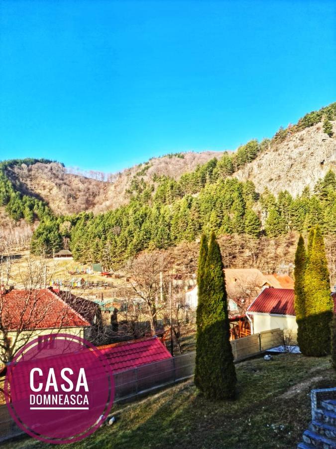 Casa Domneasca Βίλα Baia de Fier Εξωτερικό φωτογραφία