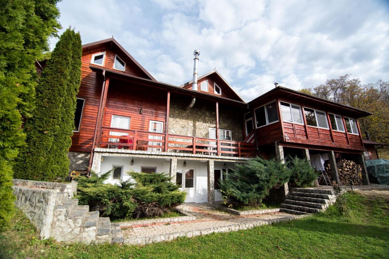 Casa Domneasca Βίλα Baia de Fier Εξωτερικό φωτογραφία