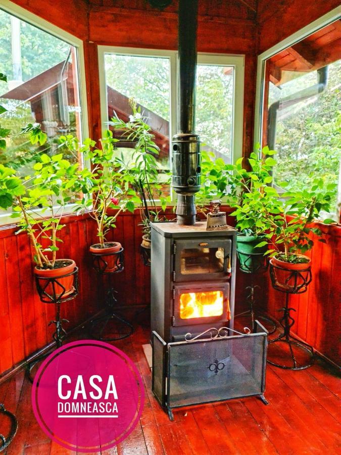 Casa Domneasca Βίλα Baia de Fier Εξωτερικό φωτογραφία
