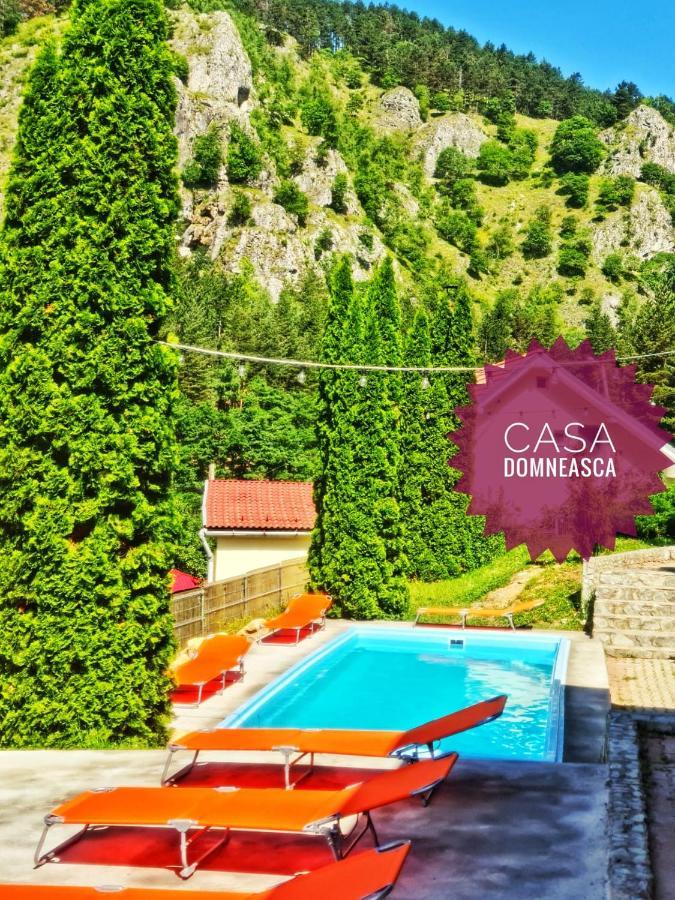 Casa Domneasca Βίλα Baia de Fier Εξωτερικό φωτογραφία