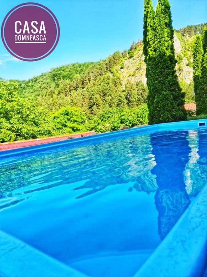 Casa Domneasca Βίλα Baia de Fier Εξωτερικό φωτογραφία