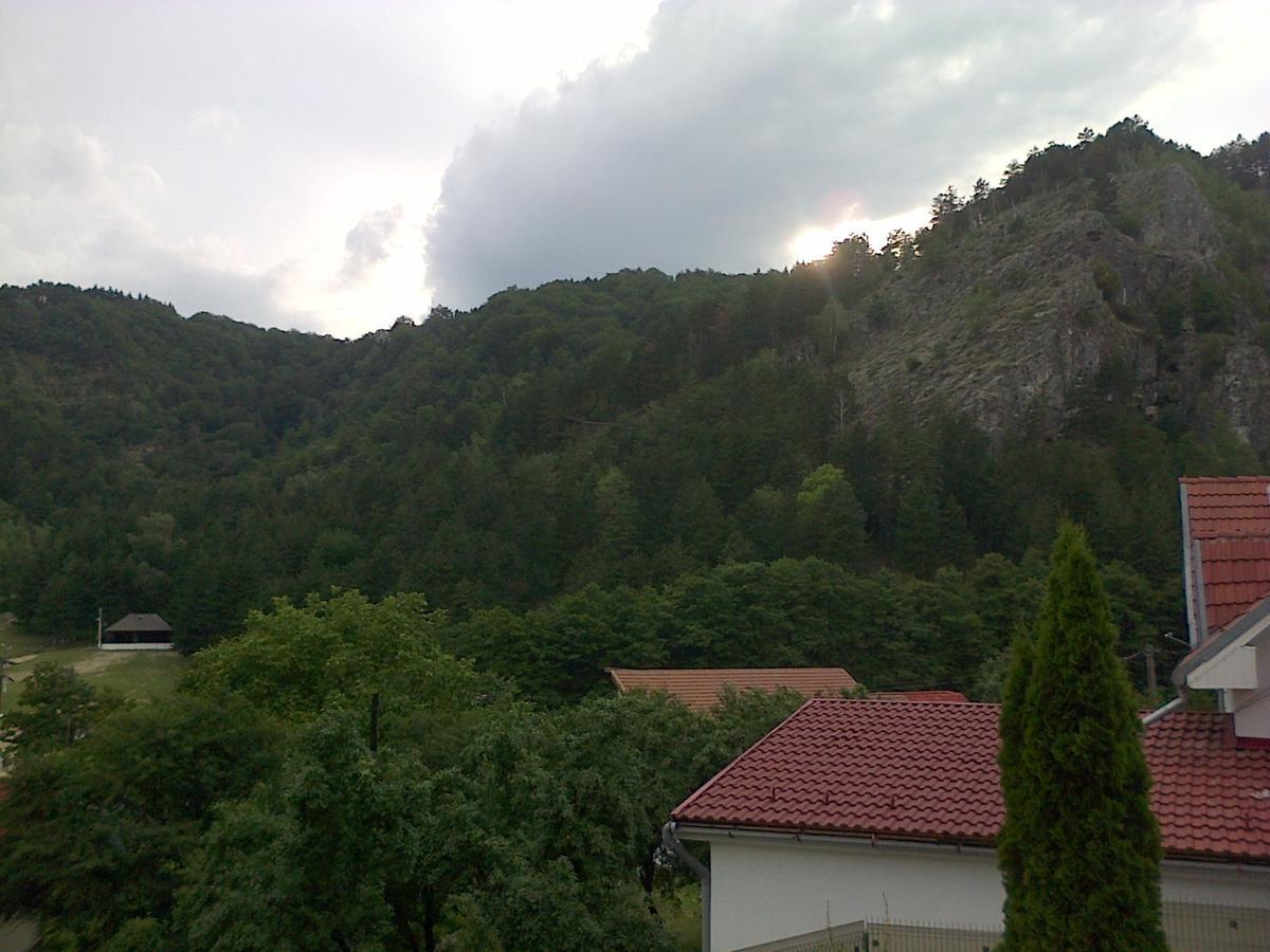 Casa Domneasca Βίλα Baia de Fier Εξωτερικό φωτογραφία